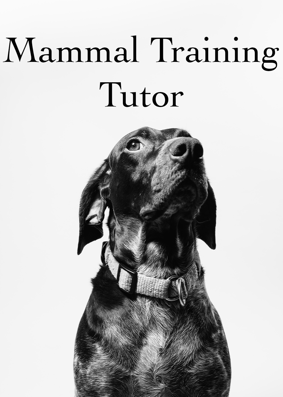 Mammal Training Tutor